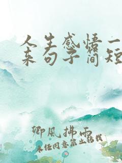 人生感悟一路走来句子简短的