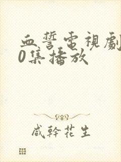 血誓电视剧全30集播放