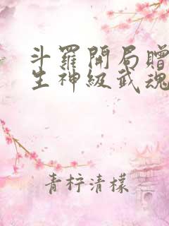 斗罗开局赠送双生神级武魂