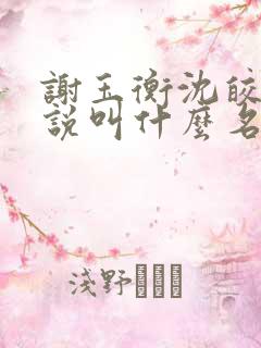 谢玉衡沈皎皎小说叫什么名字