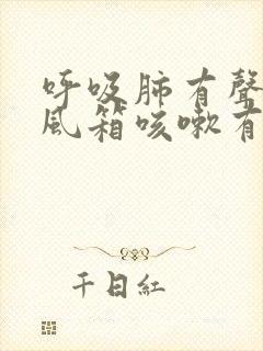 呼吸肺有声音拉风箱咳嗽有痰