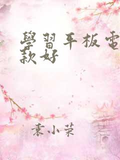 学习平板电脑哪款好
