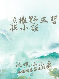 《撒野巫哲》正版小说