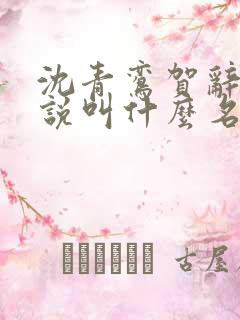 沈青鸾贺辞渊小说叫什么名字