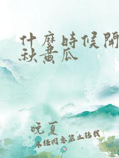 什么时候开始种秋黄瓜