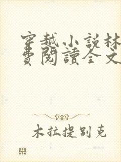 穿越小说林丰免费阅读全文