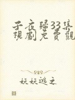 子夜归33集电视剧免费观看
