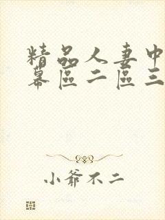 精品人妻中文字幕区二区三区视频