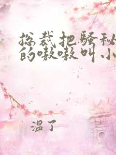 总裁把骚秘书日的嗷嗷叫小说