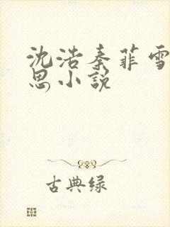 沈浩秦菲雪陈思思小说