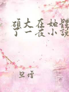 硕大在她体内含了一夜小说
