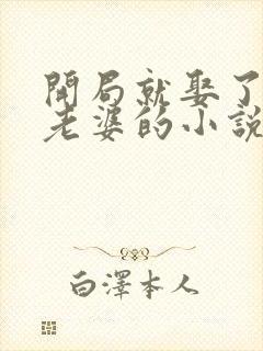 开局就娶了三个老婆的小说