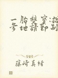 一胎双宝:总裁爹地请节制
