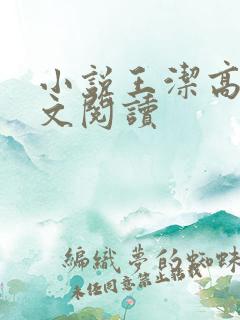 小说王洁高义全文阅读