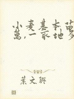 小麦基本苗15万,一亩地多少斤麦种