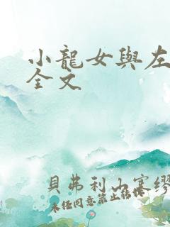 小龙女与左剑清全文