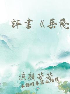 评书《岳飞传》
