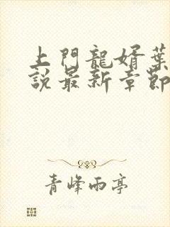 上门龙婿叶辰小说最新章节在线