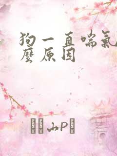 狗一直喘气是什么原因