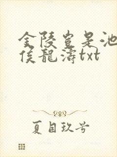 金陵岂是池中物侯龙涛txt