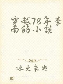 穿越78年李向南的小说