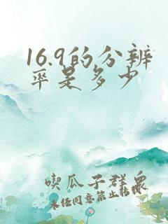 16.9的分辨率是多少