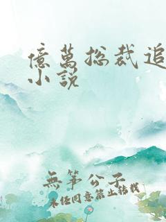 亿万总裁追妻忙小说