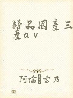 精品国产三级国产aⅴ