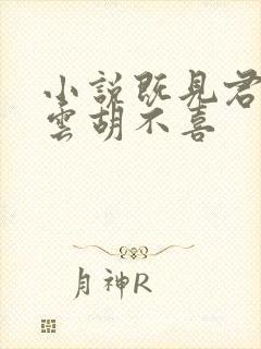 小说既见君子,云胡不喜
