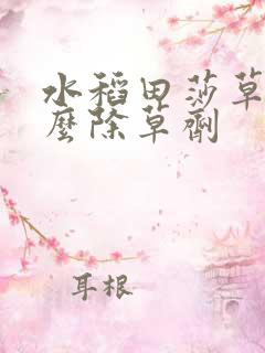 水稻田莎草用什么除草剂