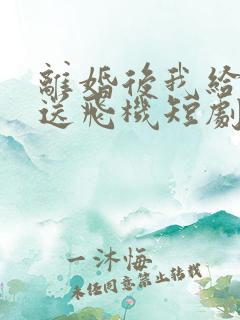 离婚后我给老婆送飞机短剧