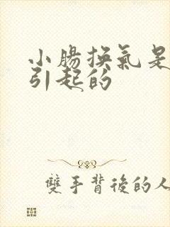 小肠换气是怎样引起的