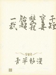一胎双宝千亿总裁超宠妻短剧