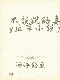 不说谎的妻子by止宁小说免费阅读