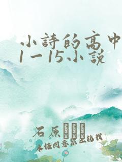 小诗的高中日记1一15小说
