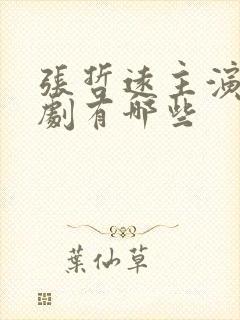 张哲远主演电视剧有哪些