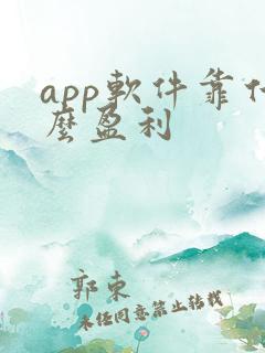 app软件靠什么盈利