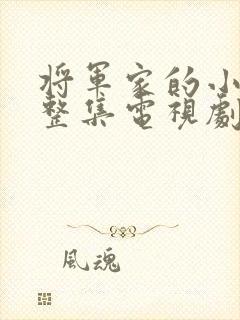 将军家的小娘子整集电视剧