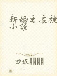 新婚之夜被肉伦小说