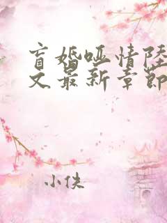 盲婚哑情陆彻全文最新章节免费阅读