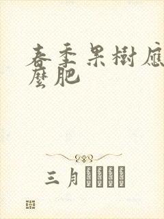 春季果树应施什么肥