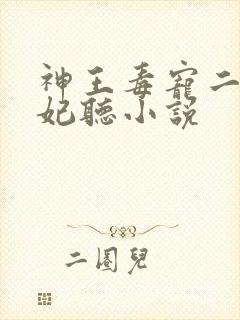 神王毒宠二嫁王妃听小说