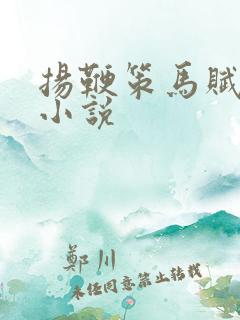 扬鞭策马赋倾城小说