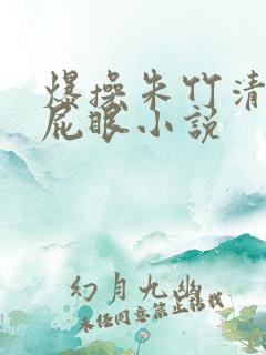 爆操朱竹清丝袜屁眼小说