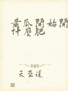 黄瓜开始开花施什么肥