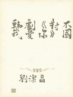 韩剧《对不起,我爱你》国语