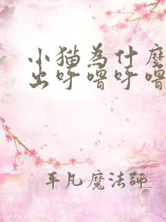 小猫为什么会发出呼噜呼噜的声音