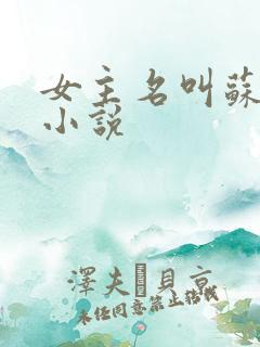 女主名叫苏染的小说