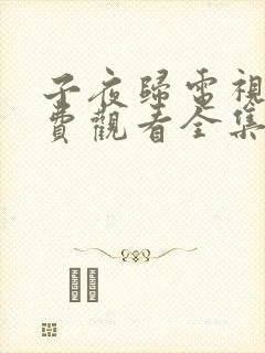 子夜归电视剧免费观看全集高清28集