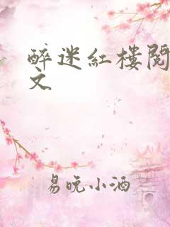 醉迷红楼阅读全文